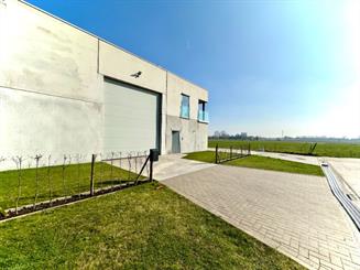 Bedrijfsgebouw Te koop Oostrozebeke