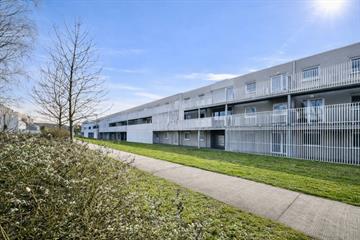 Appartement Te koop Gullegem